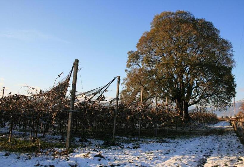 住宿加早餐  Al Bagolaro