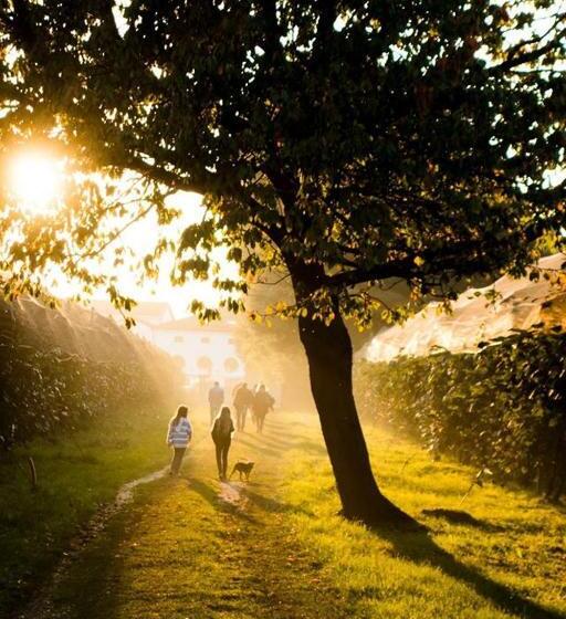 住宿加早餐  Al Bagolaro