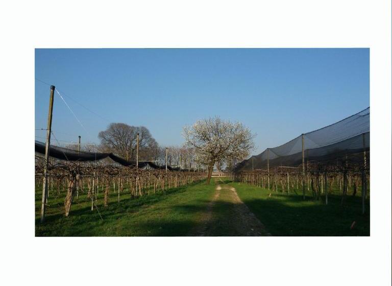 مبيت وإفطار Al Bagolaro