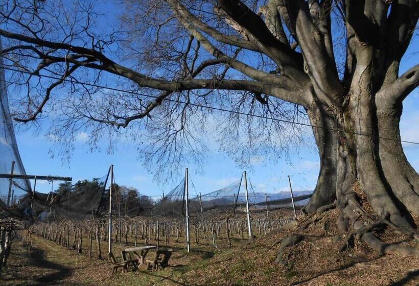 住宿加早餐  Al Bagolaro