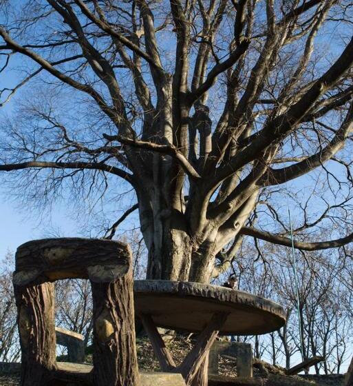 مبيت وإفطار Al Bagolaro