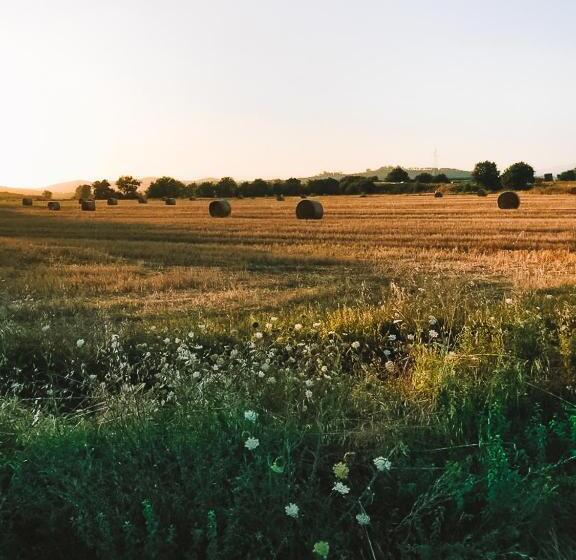 مبيت وإفطار Casa Terzerie
