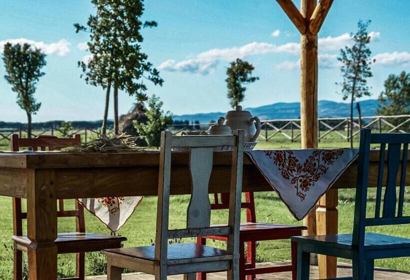 مبيت وإفطار Casa Terzerie