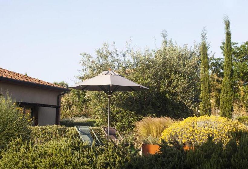 Bed and Breakfast Casale Sterpeti