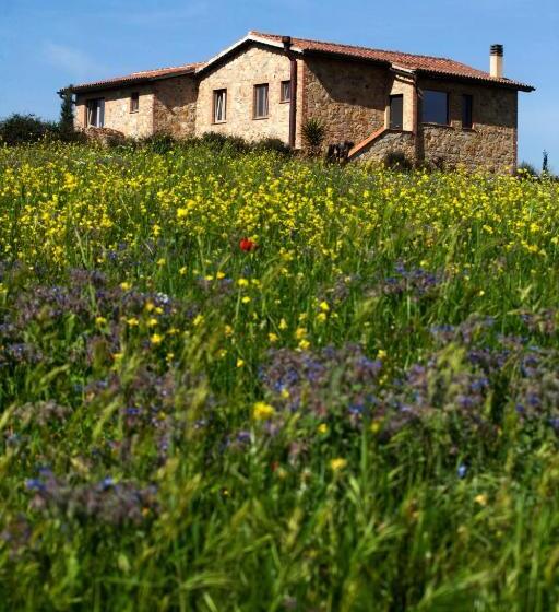 Bed and Breakfast Casale Sterpeti