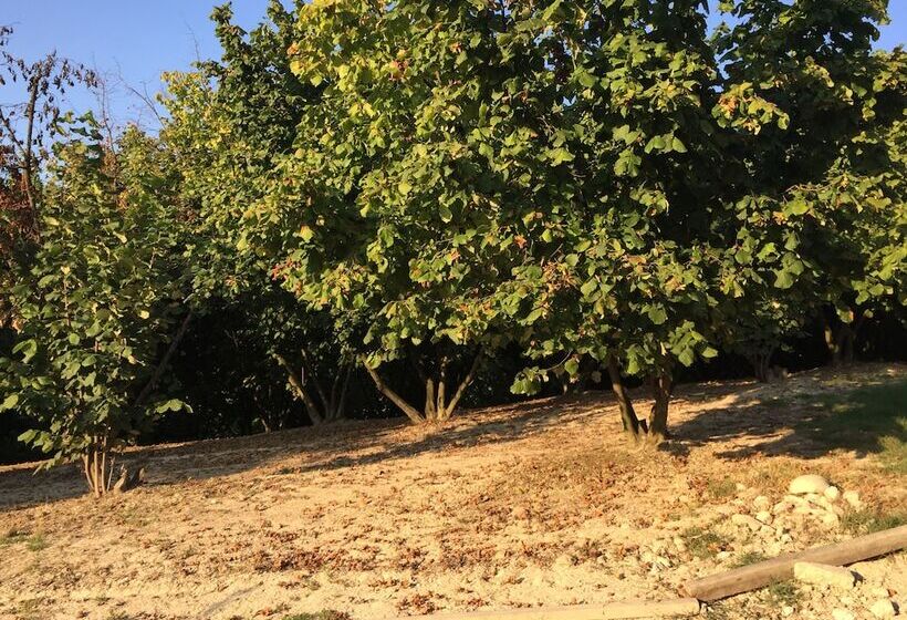 مبيت وإفطار Cascina Baresane