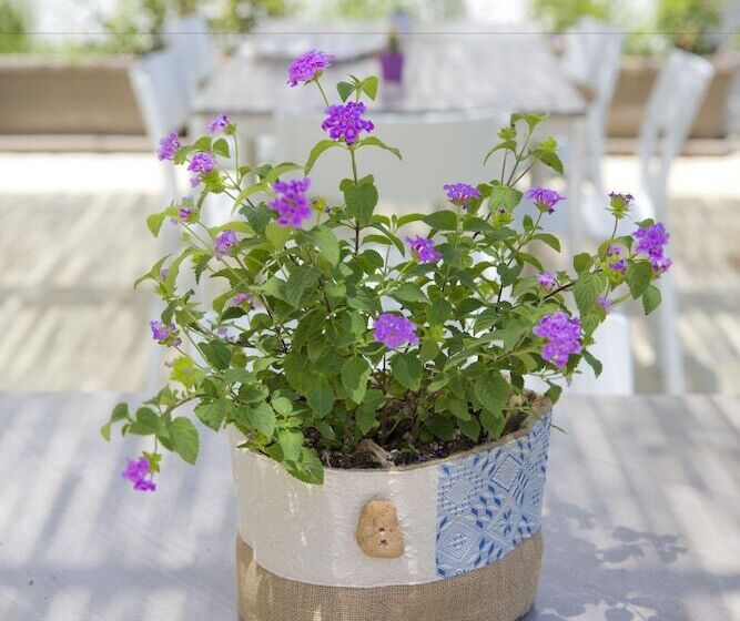 مبيت وإفطار La Loggetta