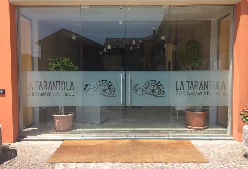 צימר La Tarantola