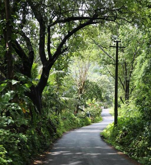 مبيت وإفطار Lar Amorosa   Portuguese Stay In Goa