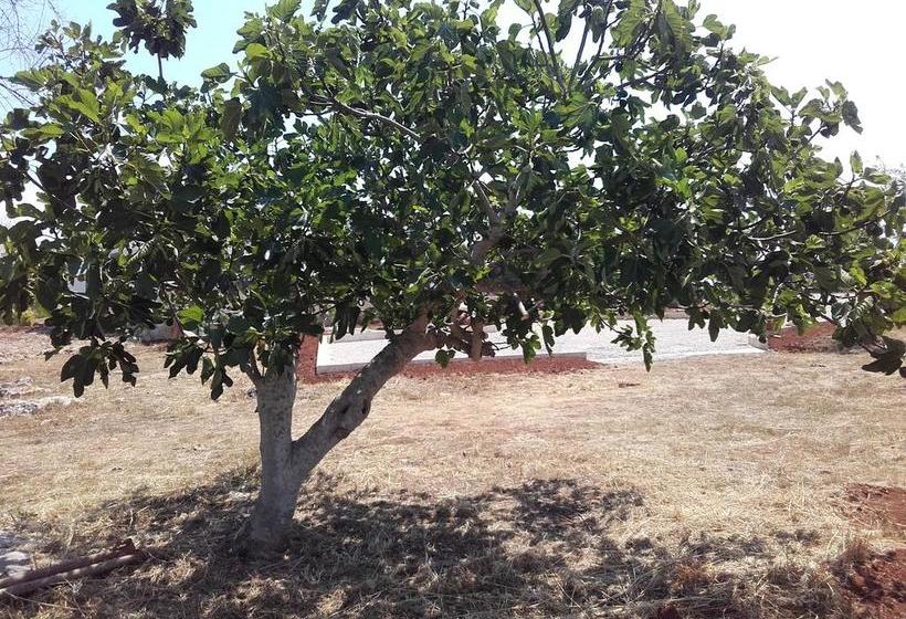 Masseria Centro Colonico B&b