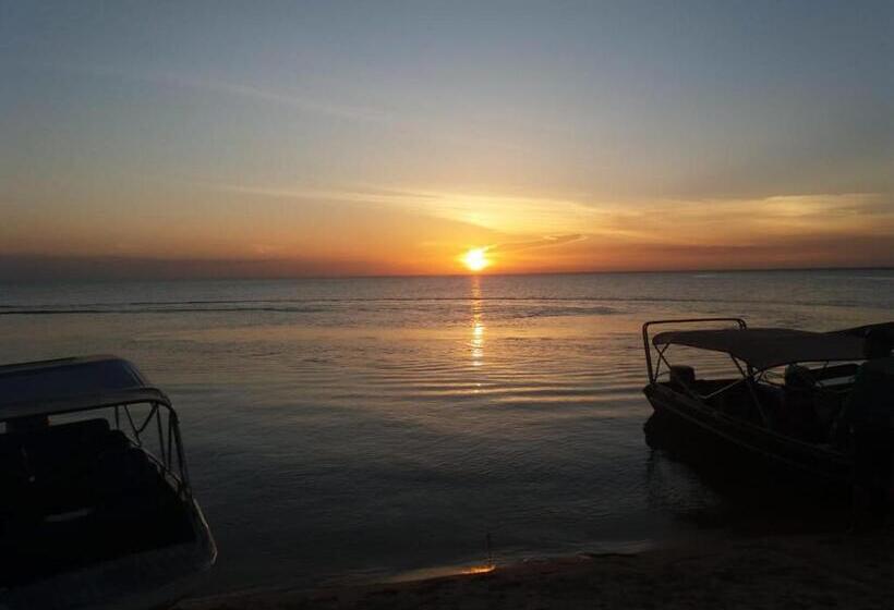 Bed and Breakfast Pousada Sombra Do Cajueiro