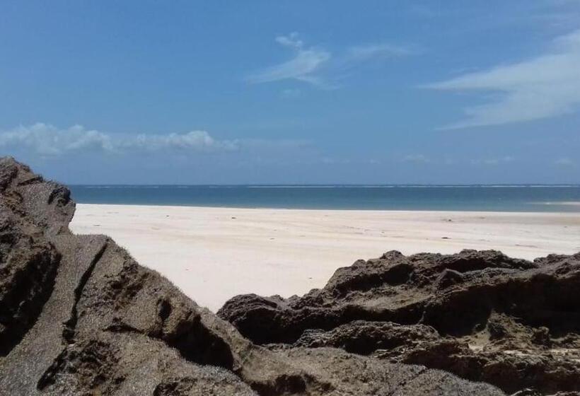 Bed and Breakfast Pousada Sombra Do Cajueiro