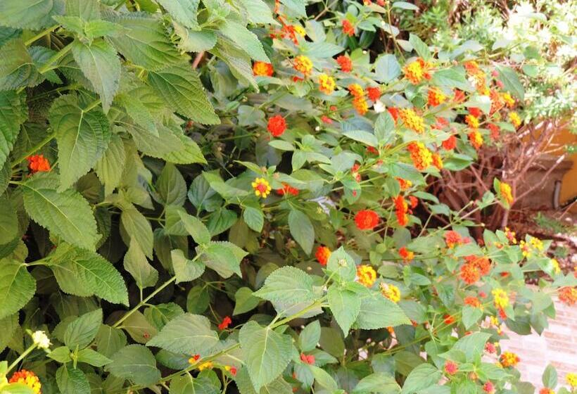 Bed & Breakfast Ospiti A Corte