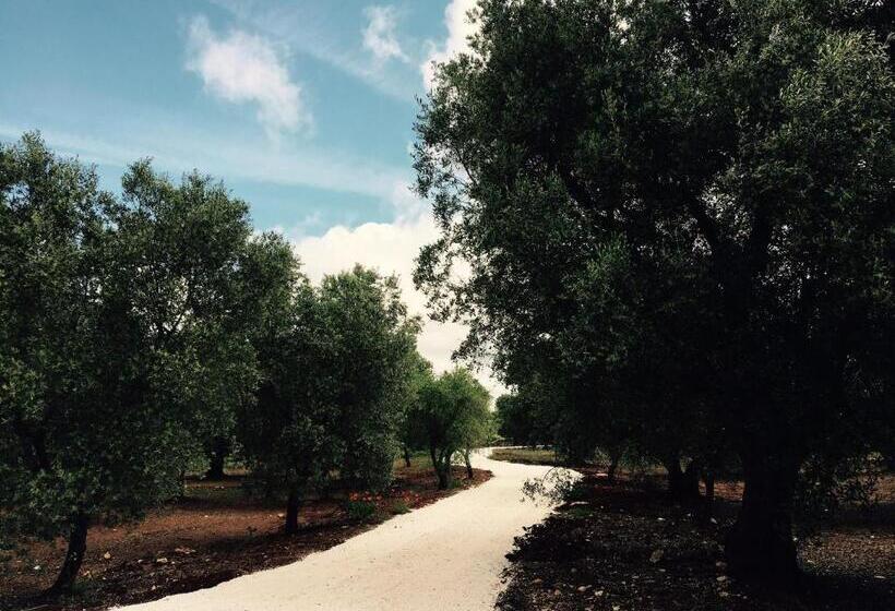 Fikus   The Apulian B&b