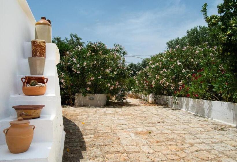 Fikus   The Apulian B&b