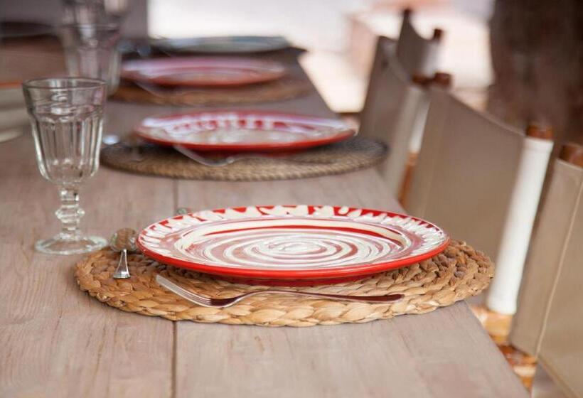 Fikus   The Apulian B&b