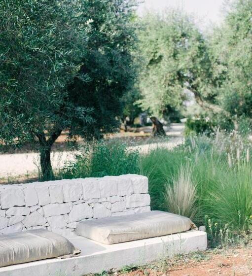 Fikus   The Apulian B&b