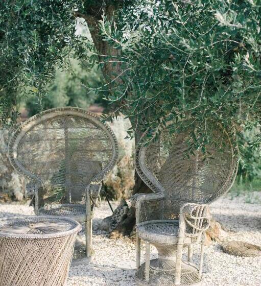 Fikus   The Apulian B&b