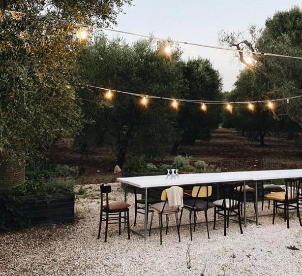 Fikus   The Apulian B&b