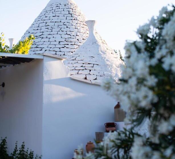 Fikus   The Apulian B&b