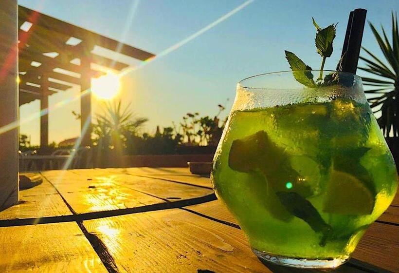 Отель Albergo Lido Diomedee