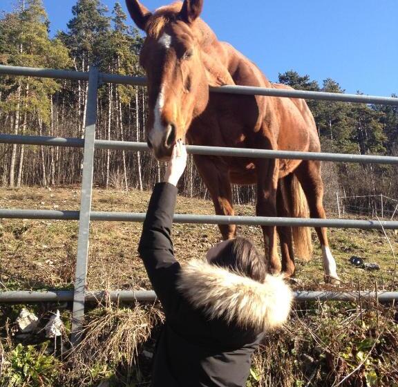 فندق Garni Bel Sito