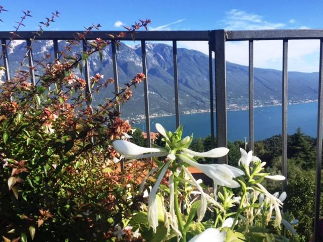 فندق Garni Bel Sito