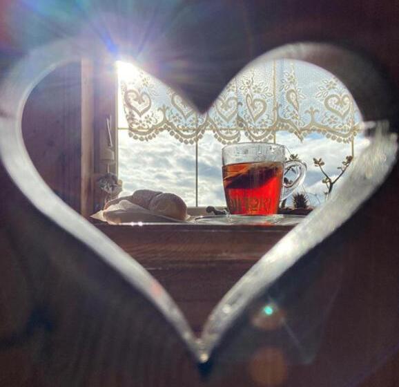 בית מלון כפרי Garni Il Muretto