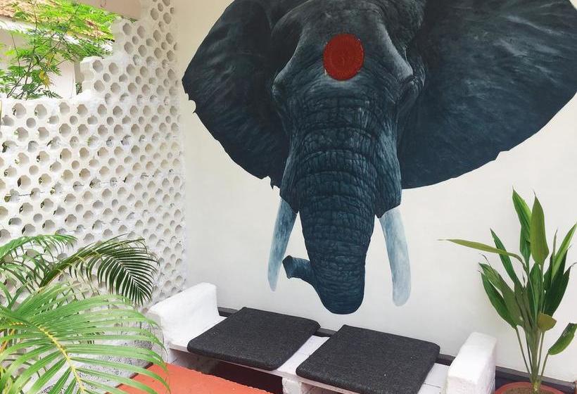 Hotel Mint Inside Garden