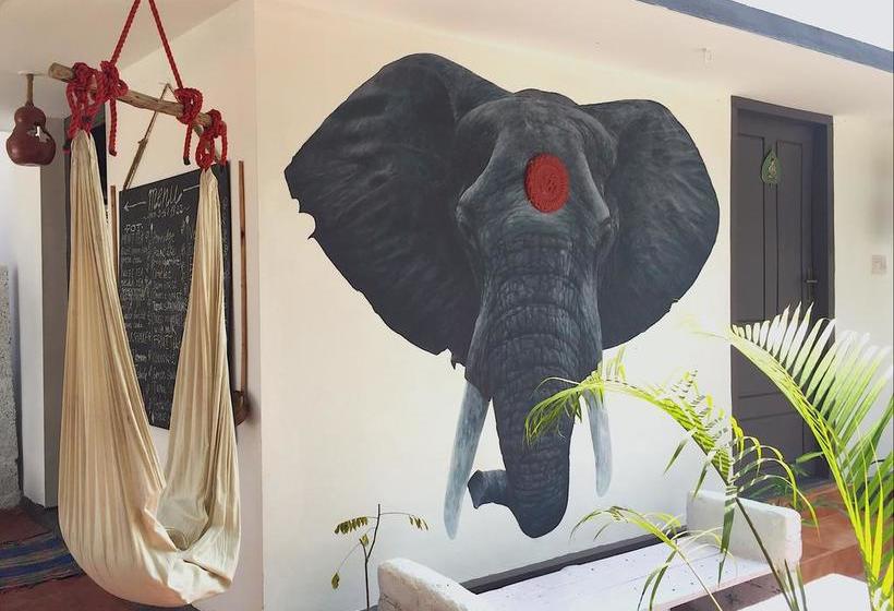 Hotel Mint Inside Garden