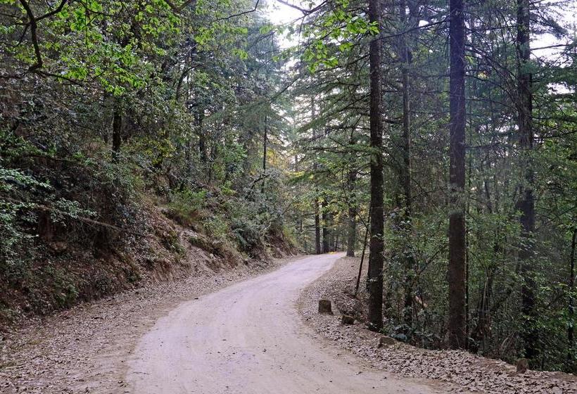 בית מלון כפרי Ojaswi Himalayan Resort