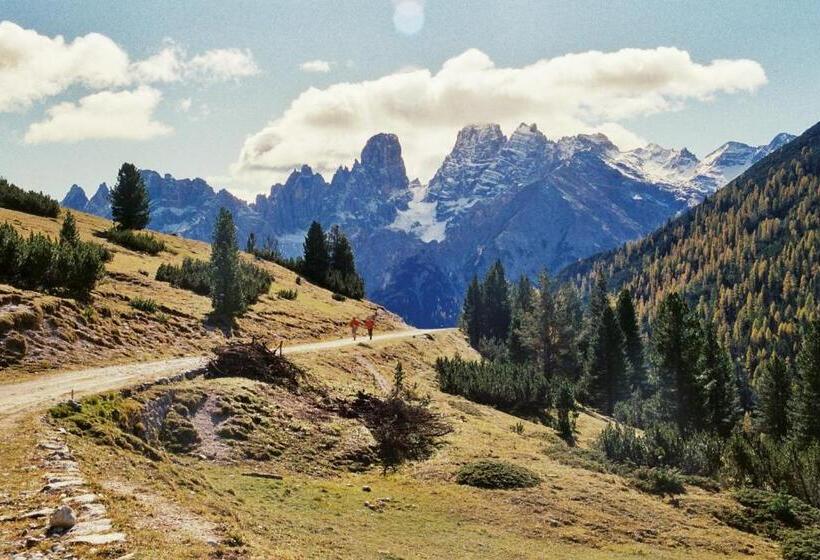 호텔 Pension Panorama