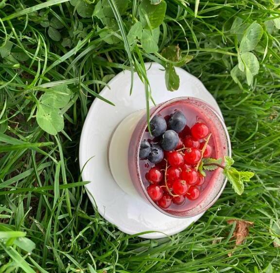 فندق Pension Panorama