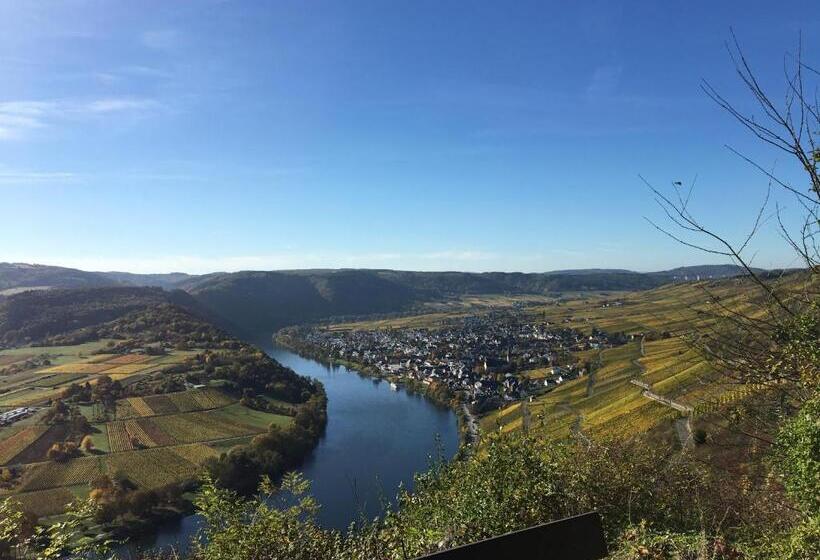 호텔 Springiersbacher Hof