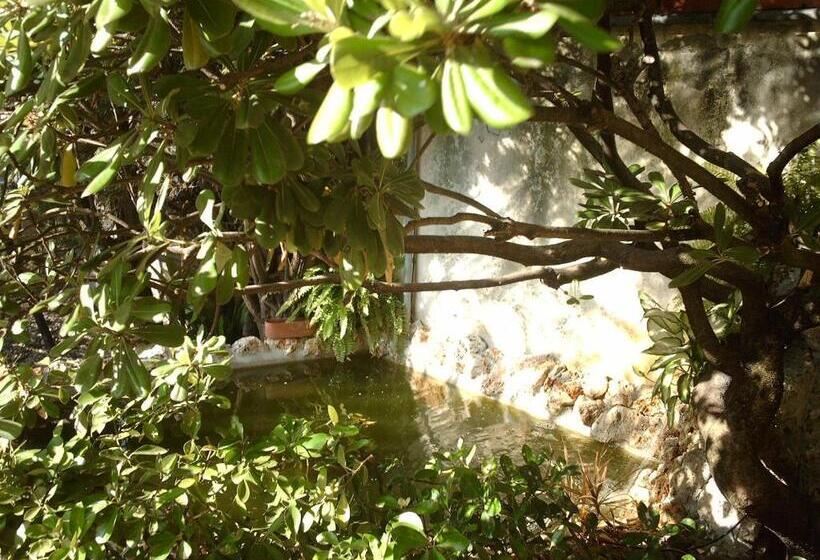 Le Villi Friendly B&b