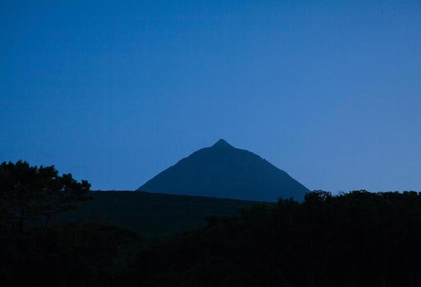 リゾートホテル Aldeia Das Adegas