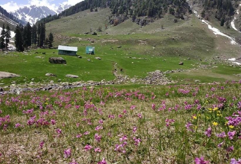 리조트 Brown Palace