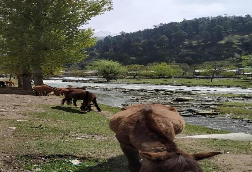 אתר נופש Brown Palace