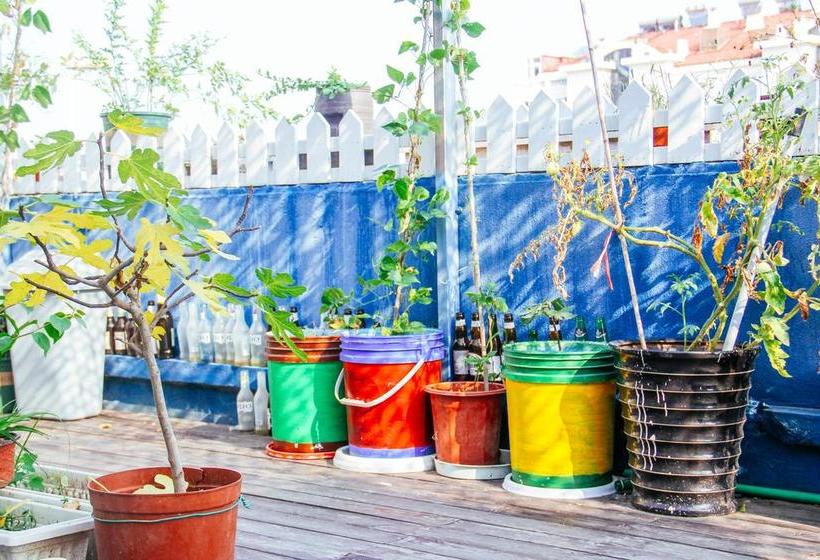 旅馆 Qingdao Ningye Xiaozhu