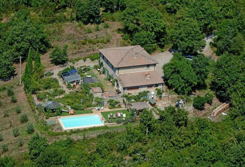 B&b Podere Il Colto