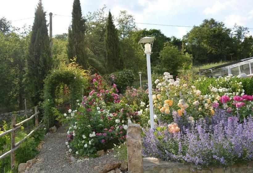 B&b Podere Il Colto