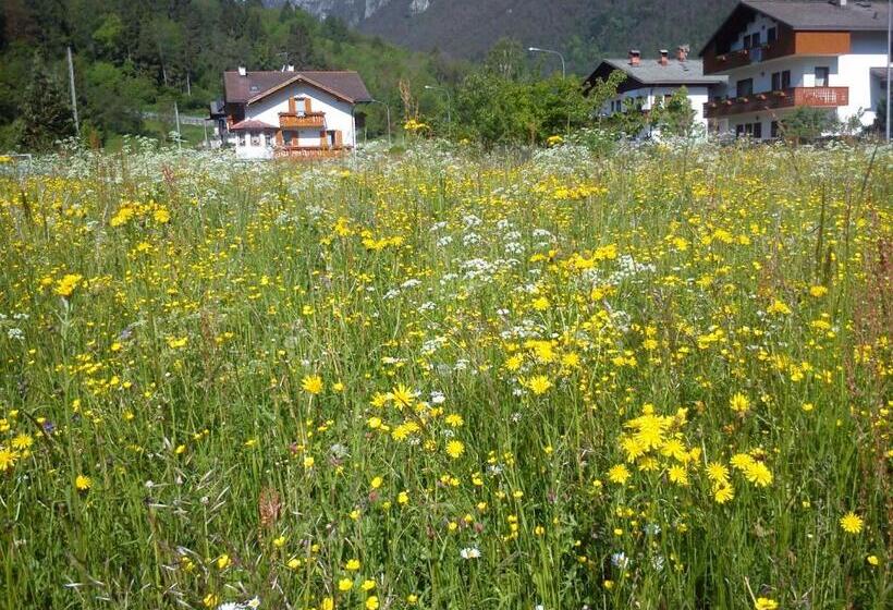 Bed and Breakfast Camere Nordest Sudest Conca Agordina