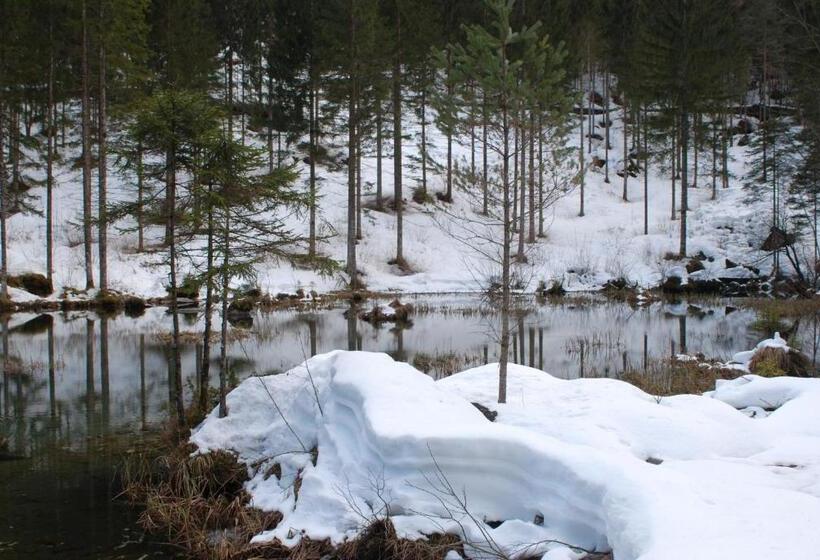 Bed and Breakfast Camere Nordest Sudest Conca Agordina