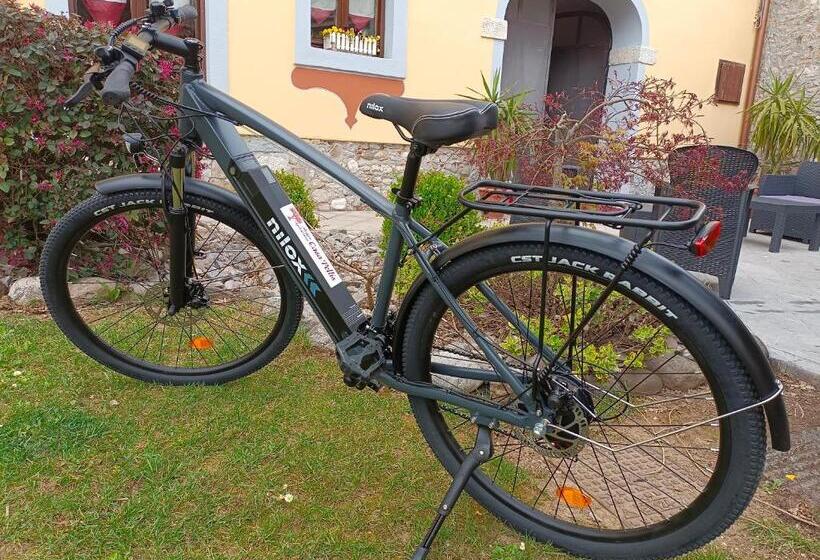 Bed and Breakfast Casa Pellis