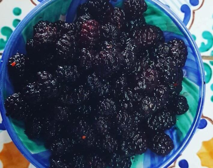 Bed and Breakfast Il Cortile Del Marchese Beccadelli