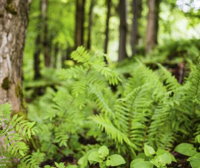 Amenity Hotel & Resort špindlerův Mlýn