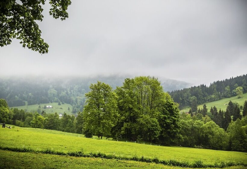 Amenity Hotel & Resort špindlerův Mlýn