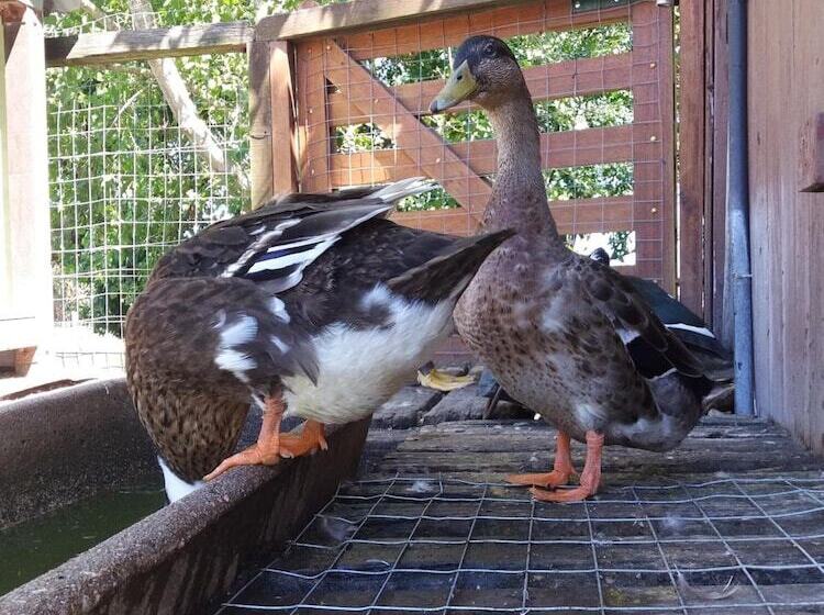 فندق Estancia Renacimiento