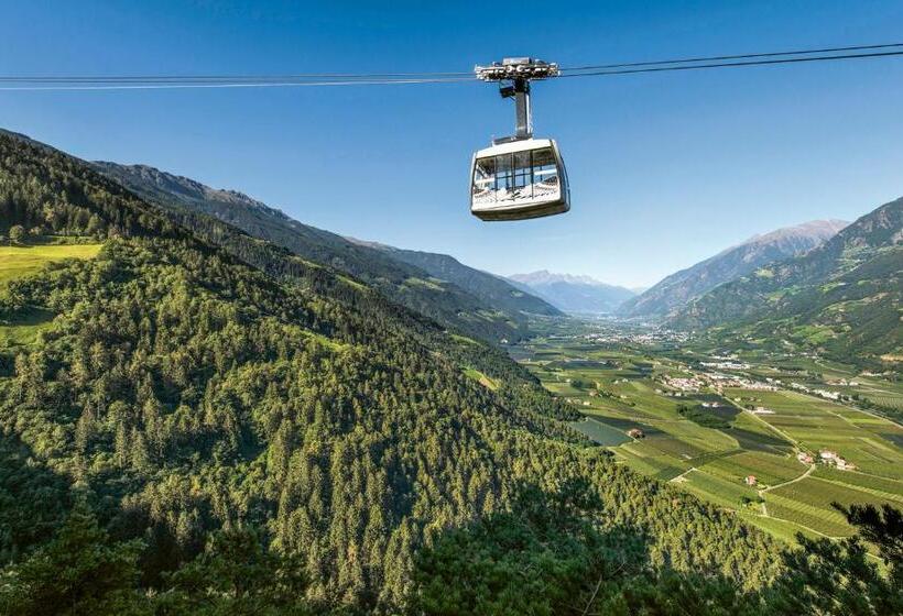 בית מלון כפרי Fayn Garden Retreat