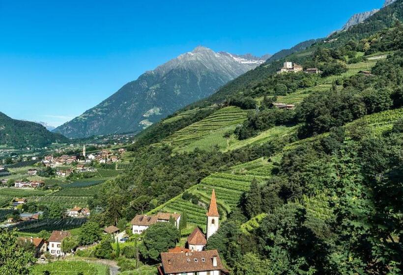 בית מלון כפרי Fayn Garden Retreat